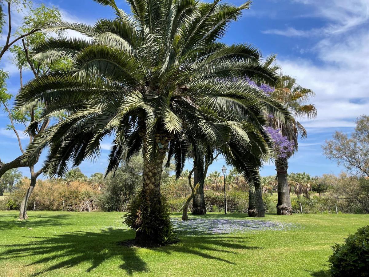 Appartement Golf, Kitesurf, Tennis, Paddle, Free Bicycles - Andalusia Isla Canela